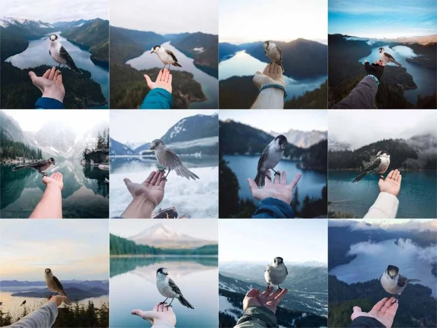 Insta Repeat